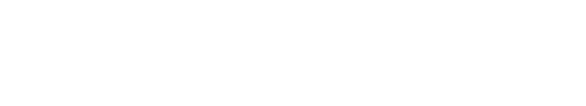 PT2020